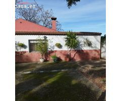 PARCELA EN ZONA CAMINO VIEJO DE ALMODOVAR CON PISCINA Y TERRENO DE 3000m2 - 226.000€ -