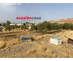 PARCELA CON GRAN VIVIENDA A LA VENTA