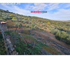 FINCA RÚSTICA CON VIVIENDA EN VILLANUEVA DEL REY