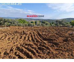 FINCA RÚSTICA CON VIVIENDA EN VILLANUEVA DEL REY