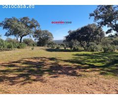 PARCELA CON CASA REFORMADA EN PLENA NATURALEZA