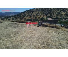 Parcela en Venta en Villanueva del Rey, Córdoba