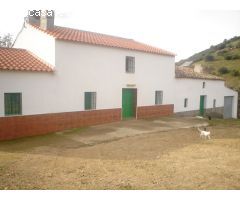 FINCA RÚSTICA EN ESPIEL