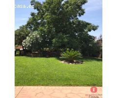 PARCELA DE 1.650 METROS - CON AMPLIA CASA Y PISCINA - ZONA CORTIJO EL RUBIO