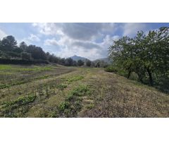Parcela en Venta en Orba, Alicante