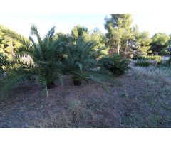 Chalet en Venta en Náquera, Valencia
