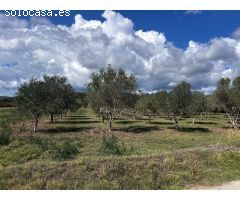 Casa de campo en Venta en Mont-ras, Girona