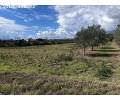 Casa de campo en Venta en Mont-ras, Girona