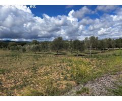 Casa de campo en Venta en Mont-ras, Girona