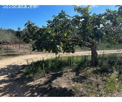 Casa de campo en Venta en Mont-ras, Girona