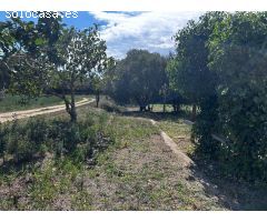 Casa de campo en Venta en Mont-ras, Girona