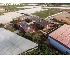 Solar: Suelo Urbano Residencial Consolidado en Buenavista, Isla Baja