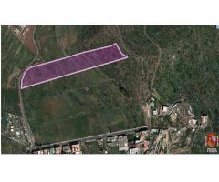 Terreno Rústico de protección paisajística en el municipio de San Cristóbal de La Laguna