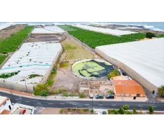 Parcela Mixta de 43.186 m² en Punta de Hidalgo con Invernadero de 15.000 m² y Área Urbana de 655 m²