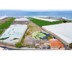 Parcela Mixta de 43.186 m² en Punta de Hidalgo con Invernadero de 15.000 m² y Área Urbana de 655 m²