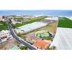 Parcela Mixta de 43.186 m² en Punta de Hidalgo con Invernadero de 15.000 m² y Área Urbana de 655 m²