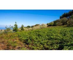 Terreno Rústico en Venta en La Esperanza, Laderas de Garabato