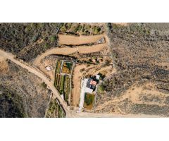 Finca  Rústica en Arico con acciones de agua.