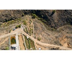 Finca  Rústica en Arico con acciones de agua.