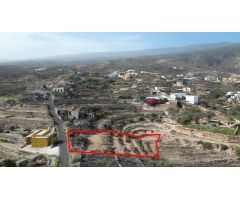TERRENO PARA VIVIR Y CULTIVAR CON VISTAS AL MAR EN GÜIMAR.