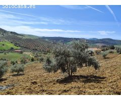 Chalet en Venta en Villanueva de la Concepción, Málaga