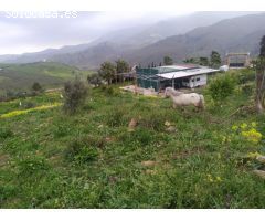 Parcela en Venta en Carratraca, Málaga
