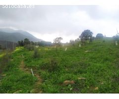 Parcela en Venta en Carratraca, Málaga