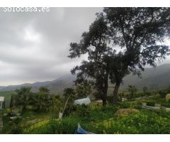Parcela en Venta en Carratraca, Málaga