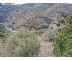 Casa de campo en Venta en Viñuelas de Arriba, Málaga