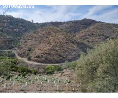 Casa de campo en Venta en Viñuelas de Arriba, Málaga