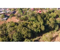 Terreno con arboles frutales y senderos en La Esperanza