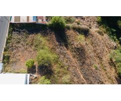Terreno con arboles frutales y senderos en La Esperanza