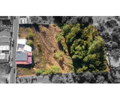 Terreno con arboles frutales y senderos en La Esperanza