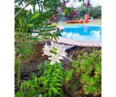 HOSTAL RURAL EN VENTA FRENTE AL LAGO EN CASAS DEL CASTAÑAR, CÁCERES