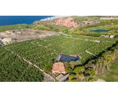 CASA PARA REFORMAR EN ABAMA CON FINCA DE PLATANOS