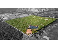 CASA PARA REFORMAR EN ABAMA CON FINCA DE PLATANOS