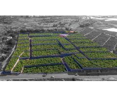 CASA PARA REFORMAR EN ABAMA CON FINCA DE PLATANOS
