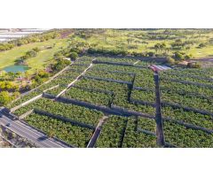 CASA PARA REFORMAR EN ABAMA CON FINCA DE PLATANOS