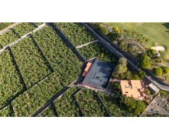 CASA PARA REFORMAR EN ABAMA CON FINCA DE PLATANOS