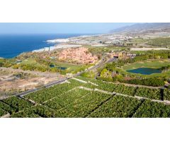 CASA PARA REFORMAR EN ABAMA CON FINCA DE PLATANOS