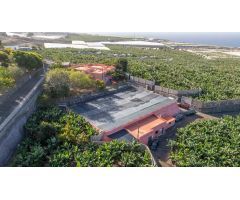 CASA PARA REFORMAR EN ABAMA CON FINCA DE PLATANOS