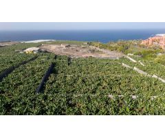 CASA PARA REFORMAR EN ABAMA CON FINCA DE PLATANOS