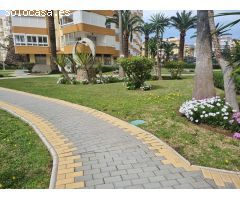 Estudio en Alquiler en Algarrobo, Málaga