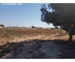 Terreno 9500 m2 muy cerca Elche zona Parque Industrial