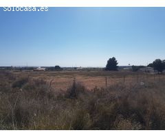 Terreno 9500 m2 muy cerca Elche zona Parque Industrial
