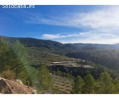 Finca rustica en Venta en Penáguila, Alicante