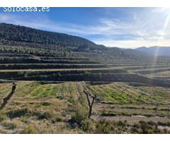 Finca rustica en Venta en Penáguila, Alicante