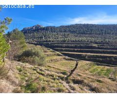 Finca rustica en Venta en Penáguila, Alicante