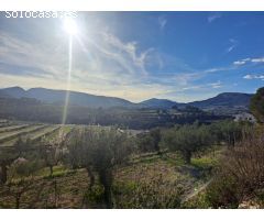 Finca rustica en Venta en Penáguila, Alicante