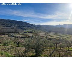 Finca rustica en Venta en Penáguila, Alicante